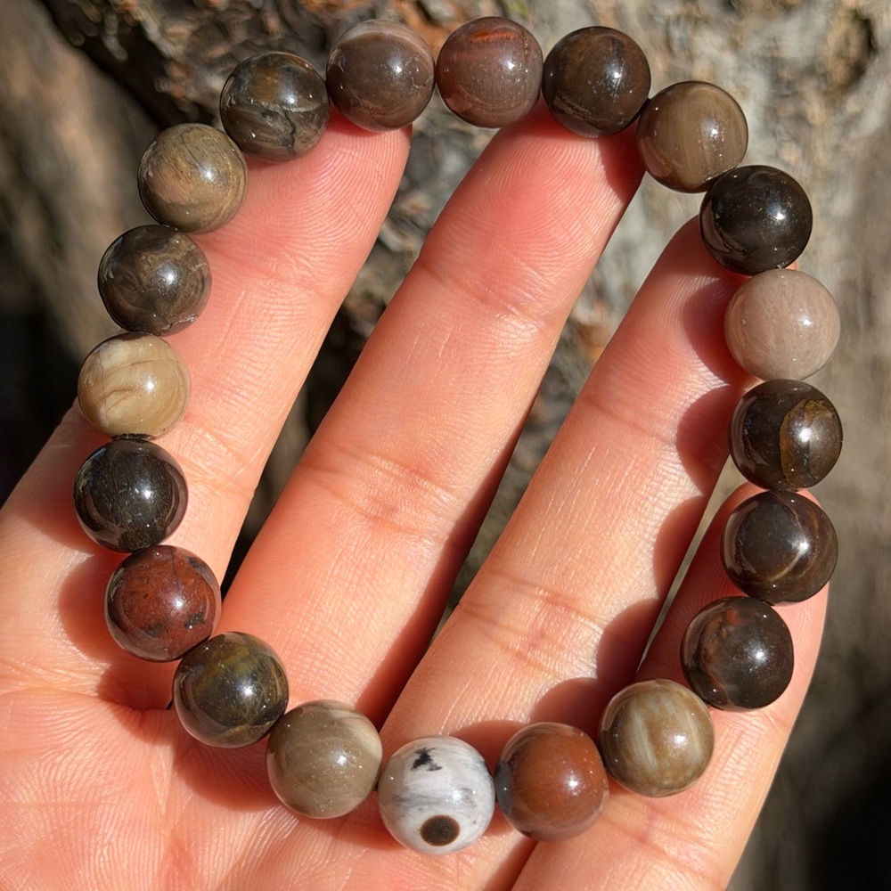 10mm‎ stretchable petrified wood bracelet 0690